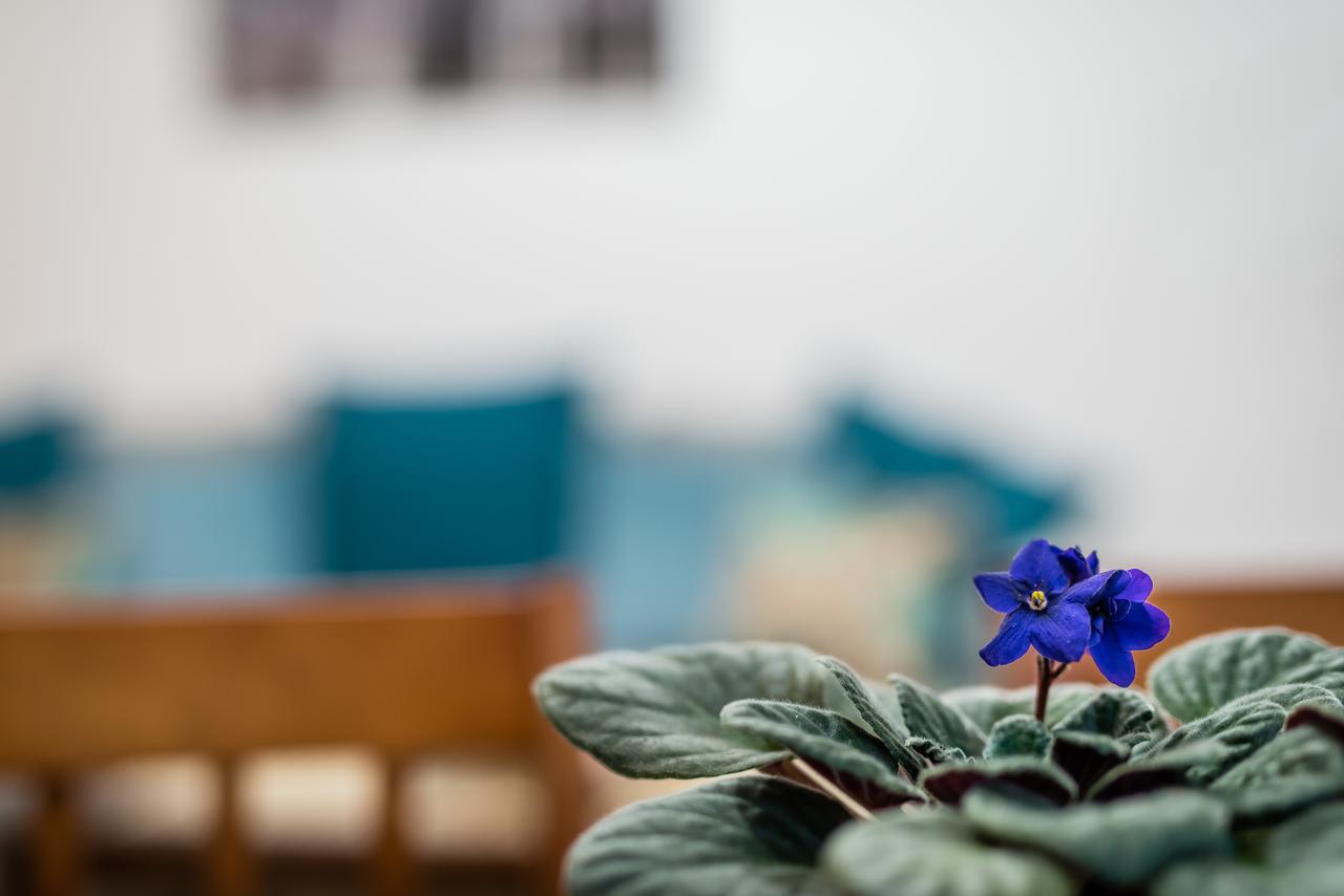 Apartamenty Bosacka Wawelofts 크라쿠프 외부 사진